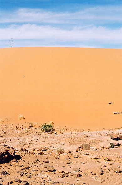 Dune de sable