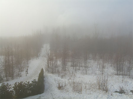 Brume qu�b�coise