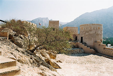 Arbuste dans le fort