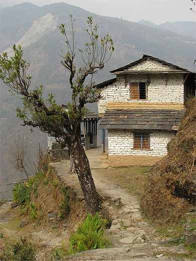 Sur le chemin du sanctuaire de l'Annapurna
