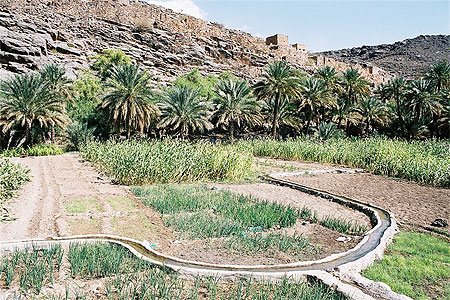 Syst�me d'irrigation