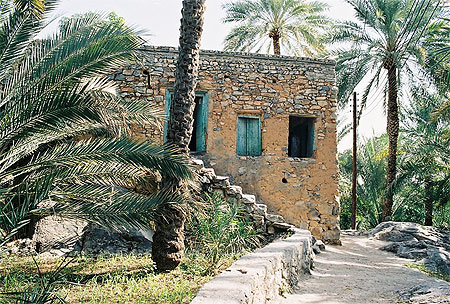 Maison dans la palmeraie