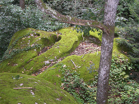 Le granite du Tarn