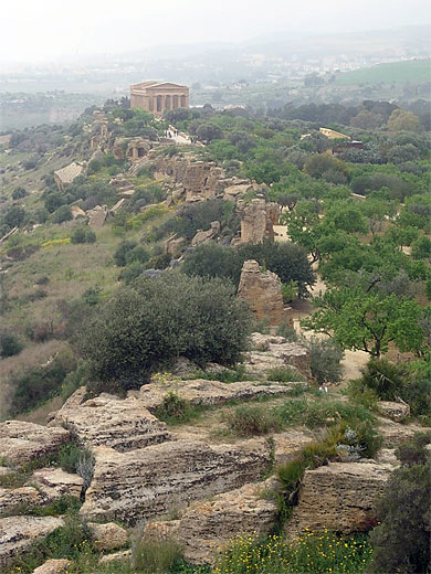 Vall�e des Temples
