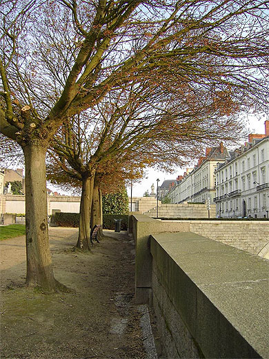 Vue sur le Cours Crambonne