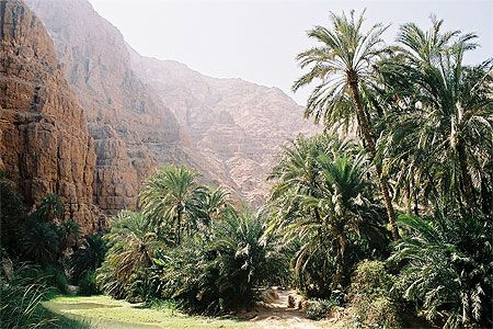 Wadi Shab