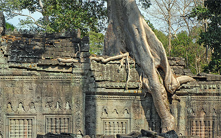 Racines de fromager sur une galerie de Preah Khan
