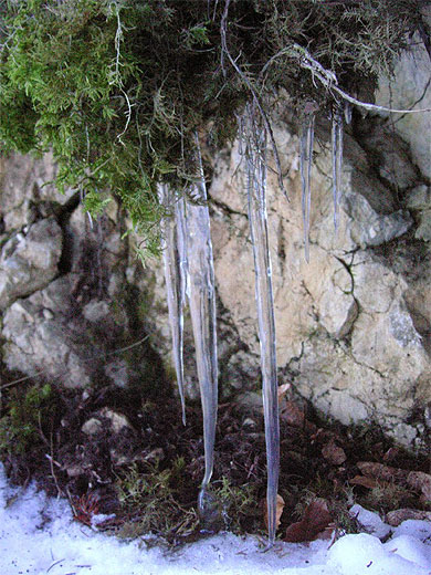 Merveilles du d�gel 