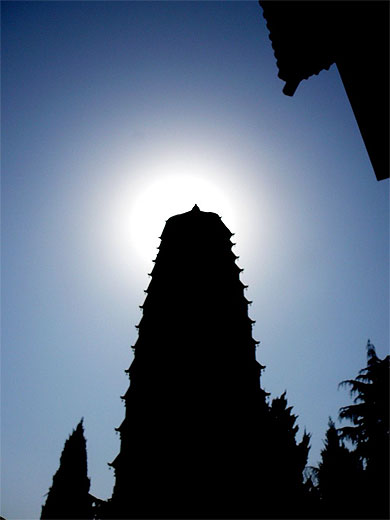 L'aura du bouddha