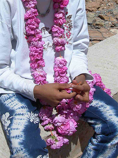 Collier de rose dans la vallée du Dadés