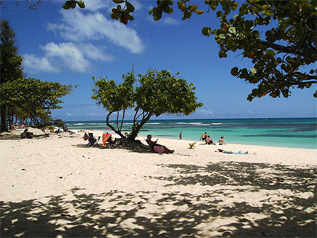 Plage des raisins clairs