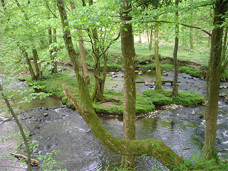 L'Oise pr�s de Hirson
