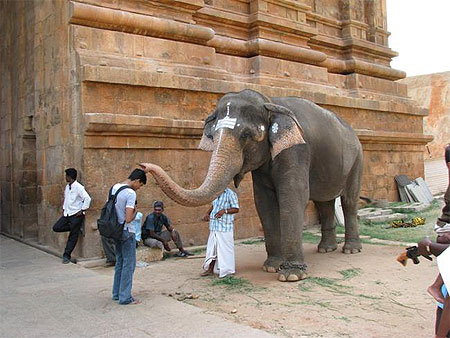 B�n�diction de l'El�phant