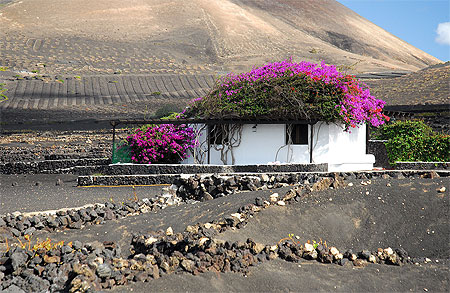 La maison aux bougainvilliers