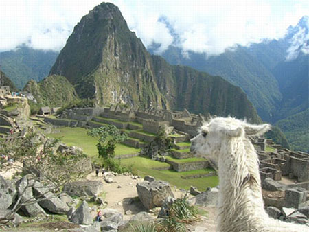 Machu Picchu