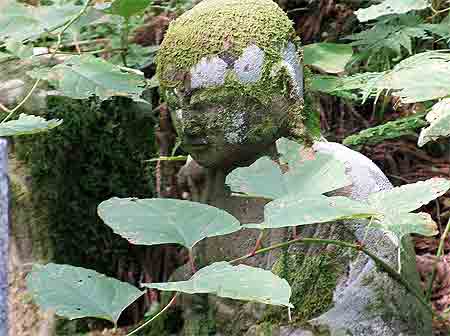 Cimeti�re du koyasan