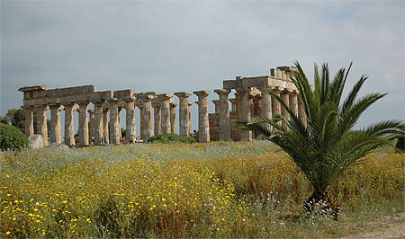 Selinonte
