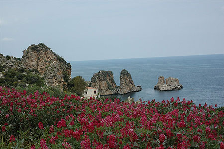Scopello