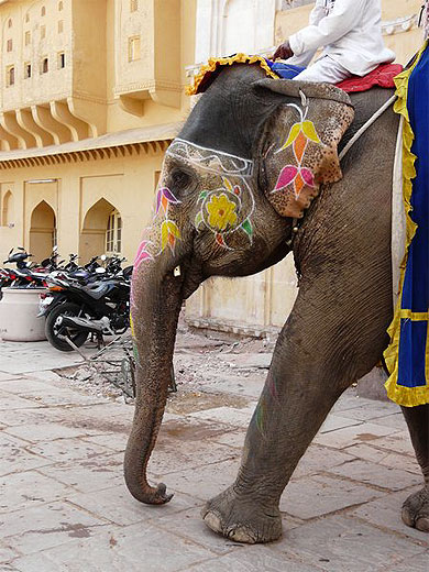 El�phant