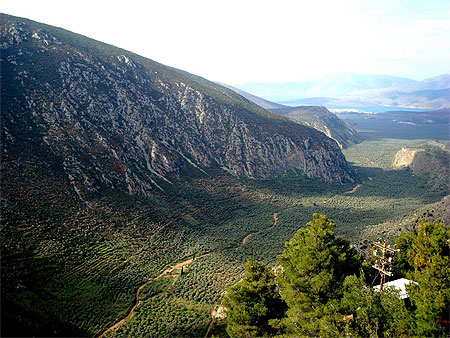 Delphes