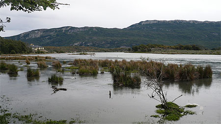 Ushuaia - Parc national