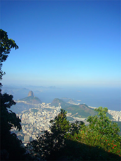 Vue