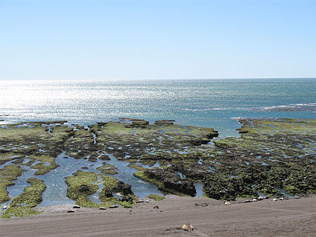 P�ninsule de Valdes
