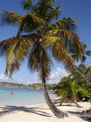 Plage de la Caravelle
