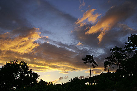 Lever de soleil sur la for�t
