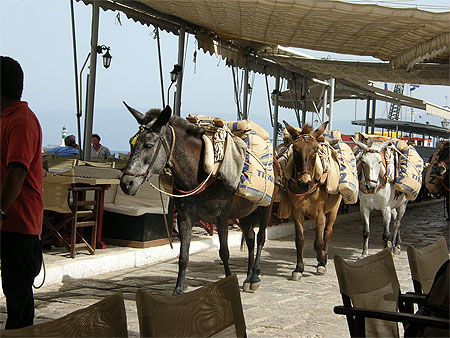 Transport int�rieur
