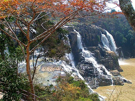 Les chutes Pongour
