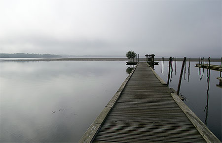 Brume sur le lac