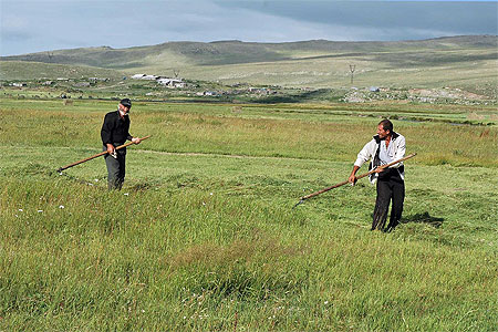 Vayots Dzor
