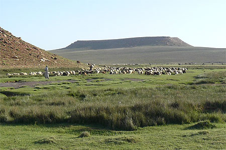 Berger sur un plateau du Haut Atlas