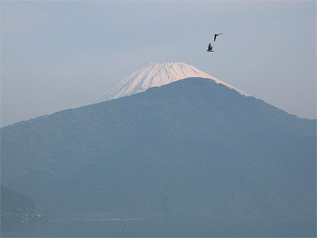 Le Mont Fuji le matin