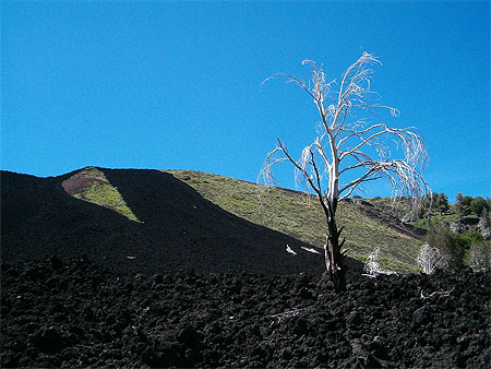Coul�e de lave sur l'Etna
