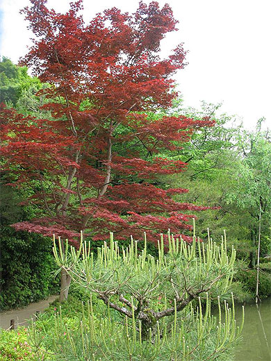 Sanctuaire Heian