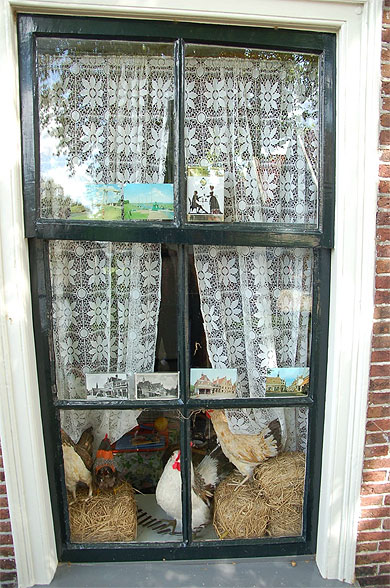 Poules en vitrine