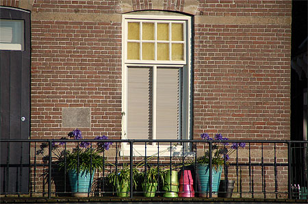 Pots de fleurs