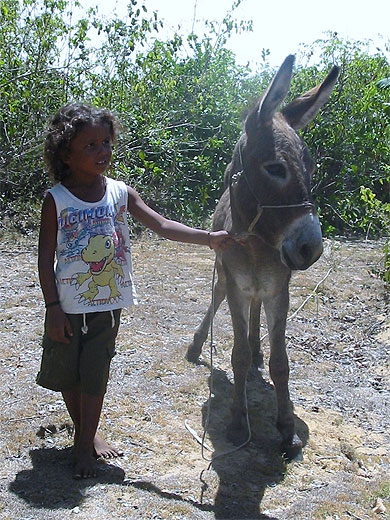 L'enfant et son petit �ne 