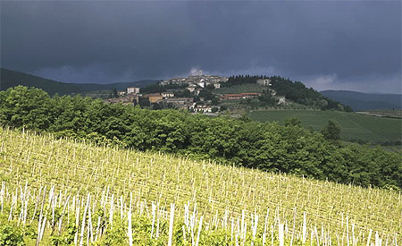Vignoble du Chianti