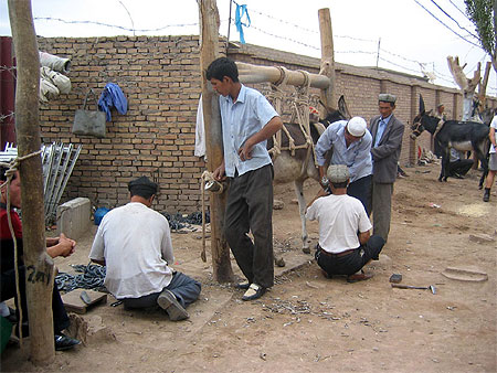 Sur le march� de Kashgar