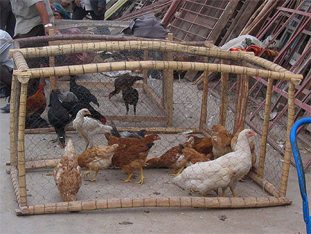 Sur le march� de Kashgar