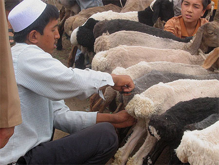 Sur le march� de Kashgar