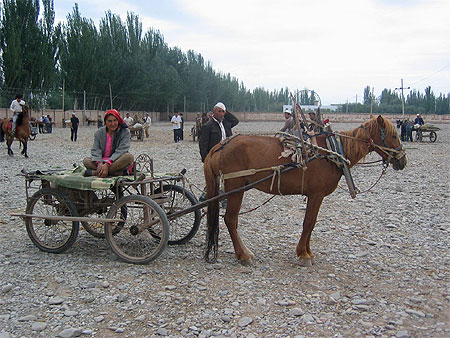 Sur le march� de Kashgar