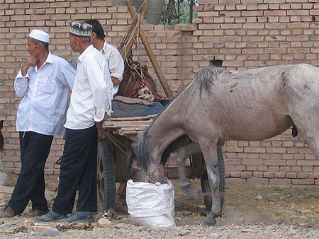 Sur le march� de Kashgar