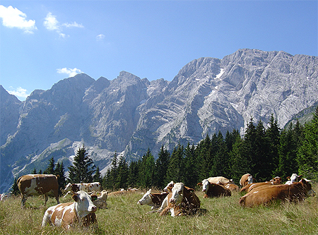 Alpes bavaroises
