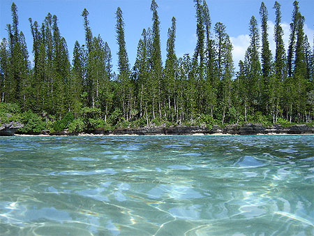 Baie d'Oro