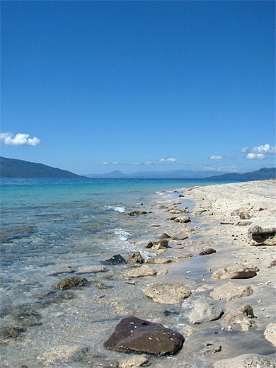 Bord de plage sur l'�le de Tanikely, l'�le aux tortues