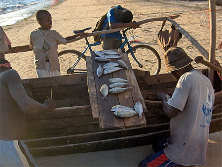 P�che sur plage de Nosy Be